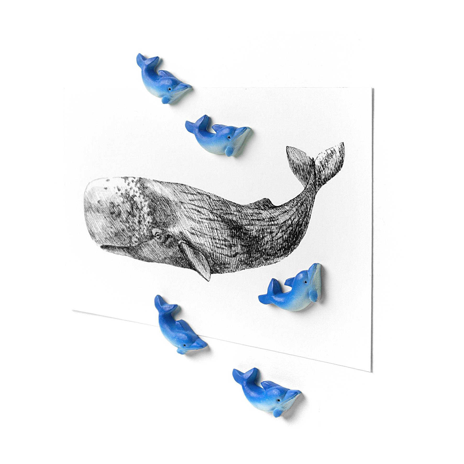 Aimants en forme de poulpe de calmar aquatique, Décoration de maison de  poisson, Décorations magnétiques aquatiques, Aimants décoratifs de poulpe,  Ensemble de 5 aimants amusants -  France